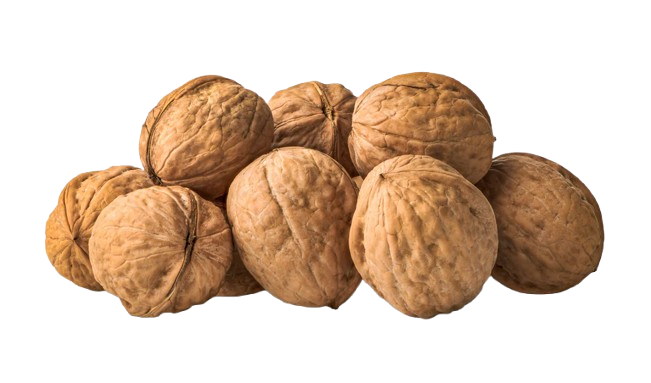 Valnötter med Skal